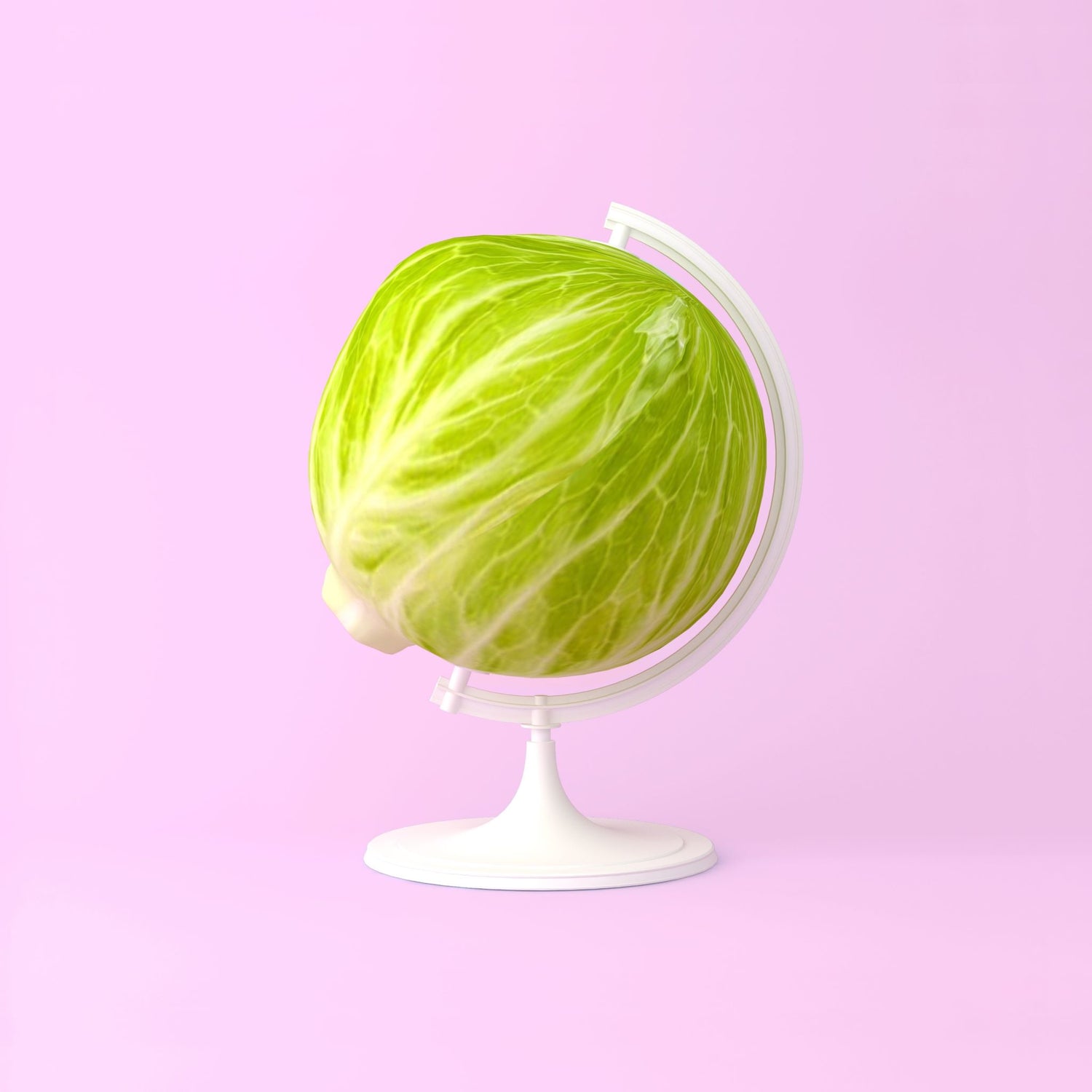 Vegetable globe
